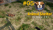 ANIMAL SHELTER #05 😺 Beschäftigungstherapie für HUND, KATZE und mir