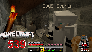 MINECRAFT [HD] #539 - Ein Gast, Gast ☼ Let's Play Minecraft