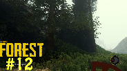 THE FOREST [HD] #12 - Der Wald nach dem Update ☼ Let's Play The Forest