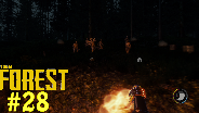 THE FOREST [HD] #28 - WTF!!!!???? ☼ Let's Play The Forest