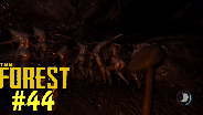 THE FOREST [HD] [0.03] #45 - Dunkle Wälder ☼ Let's Play The Forest