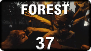 THE FOREST #37 - Massenmord im Ferienort - Let's Play