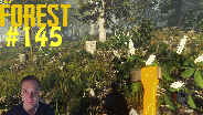 THE FOREST [HD] [FACECAM] [0.11] #145 - Die letzten Stämme ☼ Let's Play The Forest