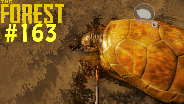 THE FOREST [HD] [FACECAM] [0.14] #163 - Update für mehr Wasser ☼ Let's Play The Forest