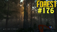 THE FOREST [HD] [0.16] #176 - Alles anders ☼ Let's Play The Forest