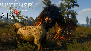 THE WITCHER 3 [HD] #13 - Kampf gegen den Greifen ☼ Let's Play The Witcher 3 Wild Hunt
