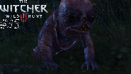 THE WITCHER 3 [HD] #35 - Der Fehlgeborene ☼ Let's Play The Witcher 3 Wild Hunt