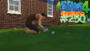 DIE SIMS 4 [HD] #250 - Backen, Pflanzen, Verkaufen ☼ Let's Play Die Sims 4