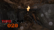 Let's Play Tomb Raider #20 - Auf den Pilz gekommen [HD] [Deutsch] [FaceCam]
