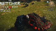THE WITCHER 3 [HD] #221 - Die letzten Nebentätigkeiten ☼ Let's Play The Witcher 3 Wild Hunt