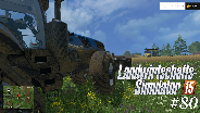 LANDWIRTSCHAFTS-SIMULATOR 15 #80 - Der Praktikant ist wieder da ☼ Let's Play Farming-Simulator [HD]