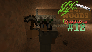 LIFE IN THE WOODS #18 - Beginn des Lagers ☼ Let's Play LitW [HD]