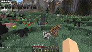 LOST WORLD #270 â˜€ï¸ Standort suche für FARBIK