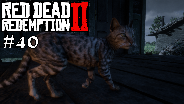 RED DEAD REDEMTION 2 (PC) #40 ? Der KATZEN Fan