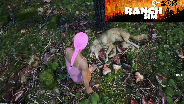 RANCH SIMULATOR #05 ? CHAT Eskaliert wegen bösen Wolf
